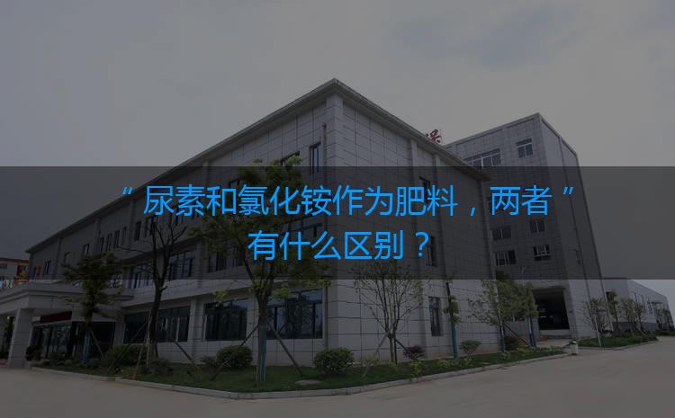 尿素和氯化銨作為肥料，兩者有什么區(qū)別？