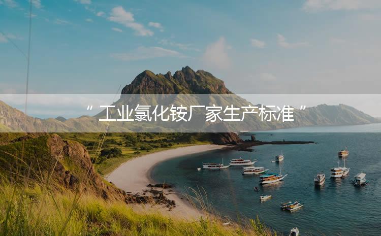 工業(yè)氯化銨廠家生產(chǎn)標(biāo)準(zhǔn)，生產(chǎn)過程進(jìn)行嚴(yán)密的監(jiān)控！