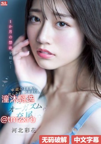 国产精品高潮呻吟久久影视A片メイリン モデルコレクション メ情人av高清在线观看